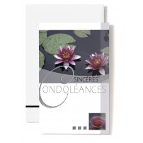 MINI CARNET : N&eacute;nuphars rose