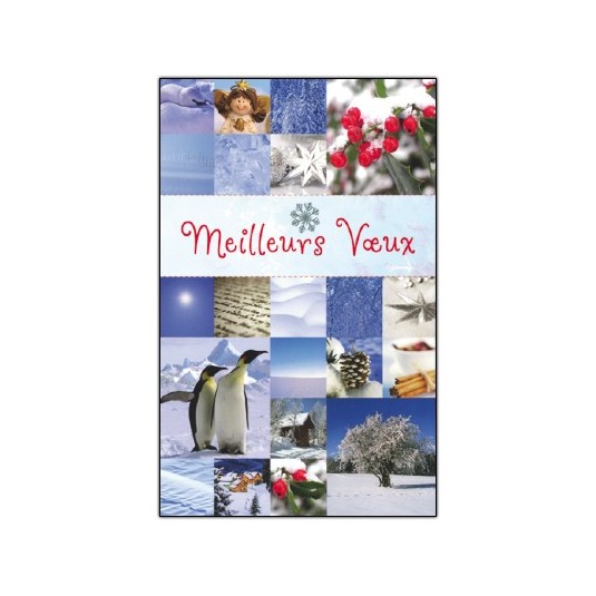 CARTE DOUBLE Meilleurs V&oelig;ux Mosa&iuml;ques d'images, pinguoins...