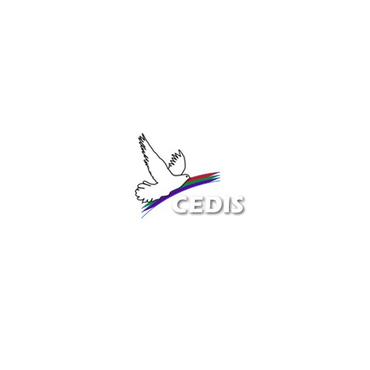 Mignonnette Jnba Chalet enneig&eacute; sur fond bleu