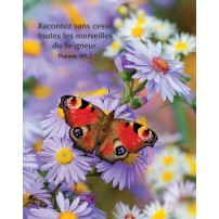 Poster Papillon posé sur des fleurs lilas