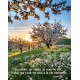 Poster Arbres en fleurs au printemps