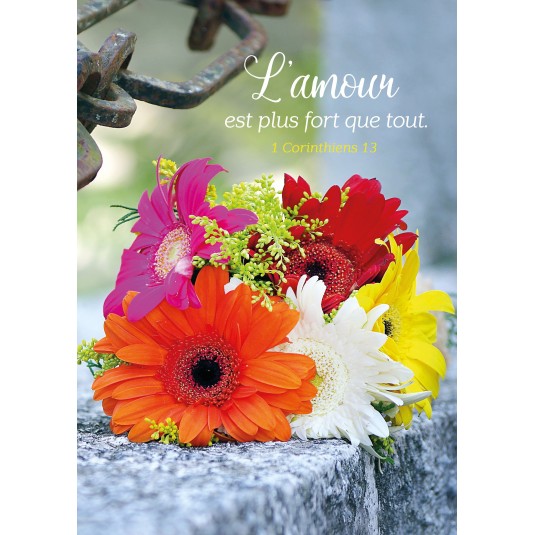 Carte Anniversaire Avec Verset Biblique Carte Anniversaire Avec Verset Biblique