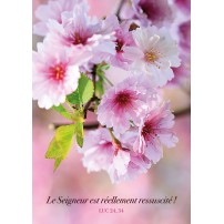 Carte Avec Verset Fleurs d'arbre roses