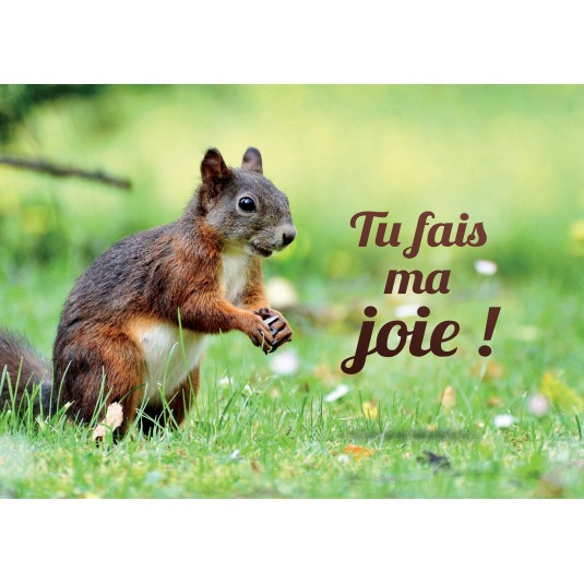 Carte Avec Message Ecureuil dans l'herbe