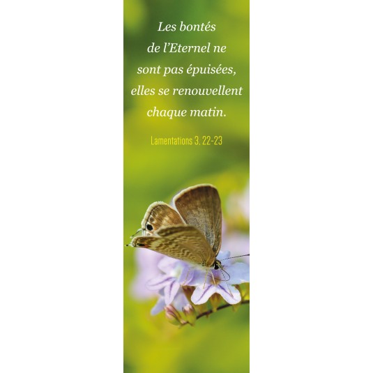 Signet Papillon posé sur des fleurs parmes