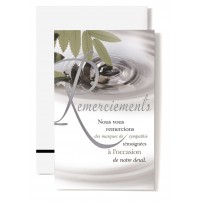 Mignonette Rem Ronds dans l'eau