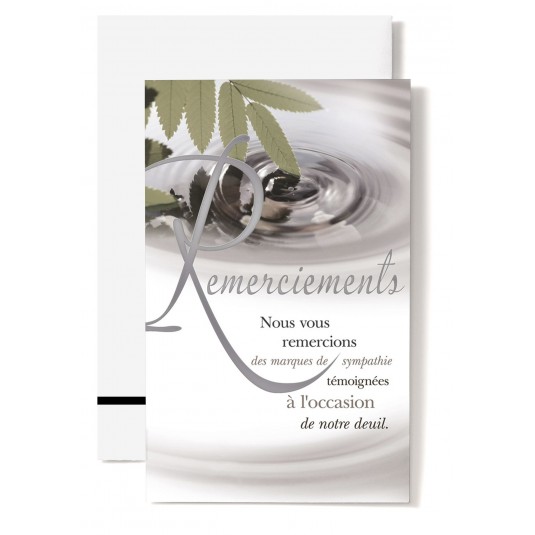 Mignonette Rem Ronds dans l'eau