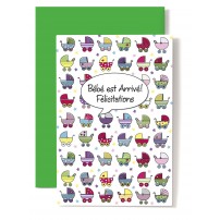 Carte Double Naissance Landaus multicolore