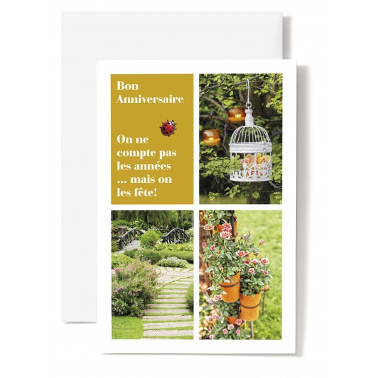 Carte Double Anniversaire Coccinelle, cage, pont, roses
