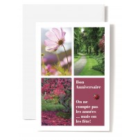 Carte Double Anniversaire Cosmos, chemin, arbre, coccinelle