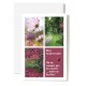 Carte Double Anniversaire Cosmos, chemin, arbre, coccinelle