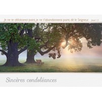 CARTE VB : Banc sous des arbres au coucher de soleil