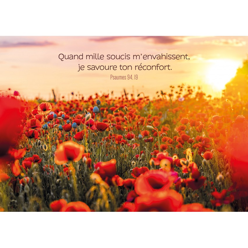Carte Avec Verset Champ De Coquelicots Carte Avec Verset Champ De Coquelicots
