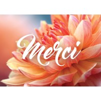MINI CARTE : Chrysanthème orangé (Merci)