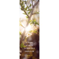 SIGNET : Soleil dans arbuste