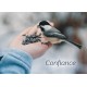 CARTE FLASH : oiseau picorant dans une main (Confiance)