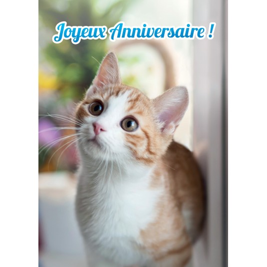Carte Avec Message Chat Ja Carte Avec Message Chat Ja