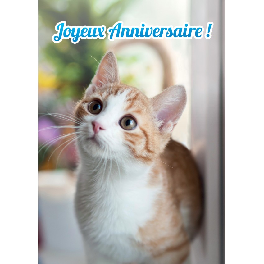 Carte Joyeux Anniversaire Chat