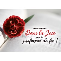 CARTE FLASH : Oeillet rouge sur bible