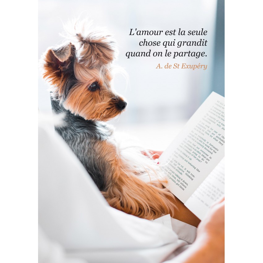 Carte Citation Chien Faisant La Lecture