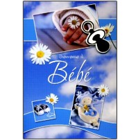 Carte Double Naissance