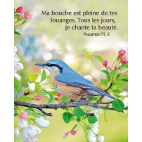 POSTER : Oiseau sur une branche en fleur