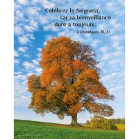 POSTER : Arbre en automne