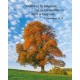 POSTER : Arbre en automne