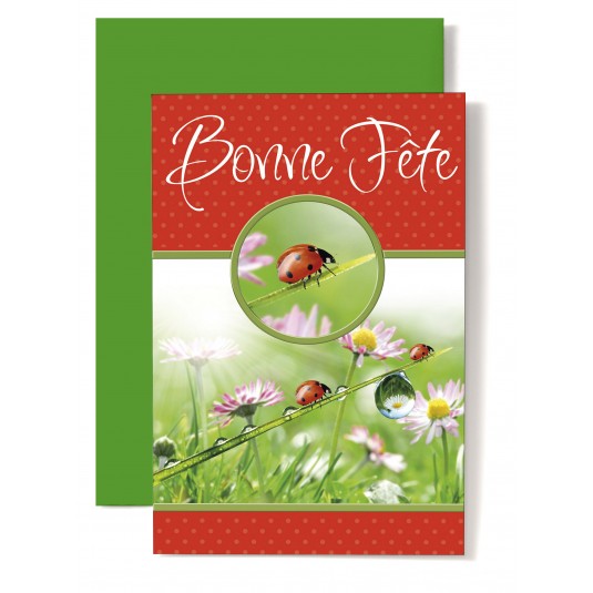 Carte Double Bonne F&ecirc;te Coccinelle, goutes d'eau et fleurs