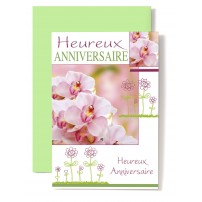 Carte Double Anniversaire Orchid&eacute;es rose, fleurs dessin&eacute;es