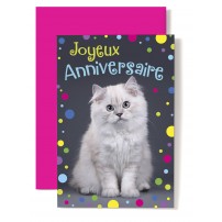 Carte Double Anniversaire Chat blanc et cotillons multicolores