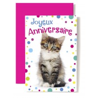 Carte Double Anniversaire Chat tigr&eacute; et cotillons multicolores