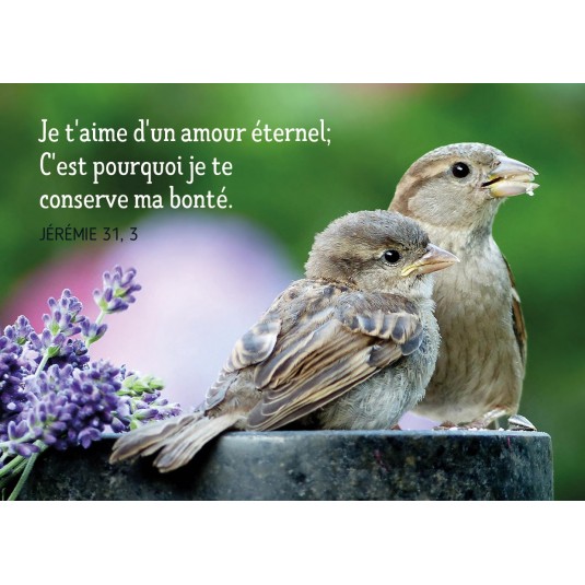 Mini Carte Couple d'oiseaux et fleurs violettes