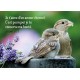 Mini Carte Couple d'oiseaux et fleurs violettes