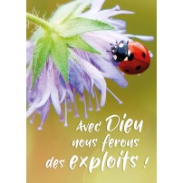 Mini Carte Coccinelle posée sur une fleur parme