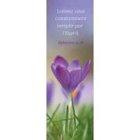 Signet Crocus  dans l'herbe