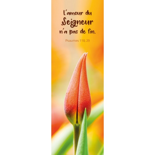 Signet Tulipe rouge sur fond orange