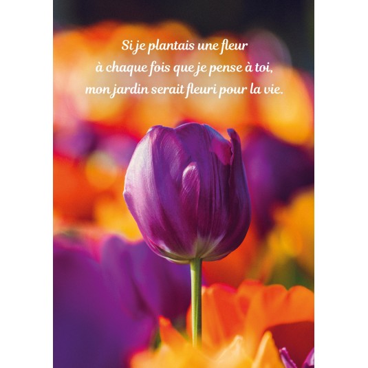 Carte Avec Message Tulipe violette dans un champ de fleurs