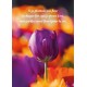 Carte Avec Message Tulipe violette dans un champ de fleurs