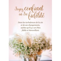 Carte Avec Message Bouquet de roses et gypsophile blanches
