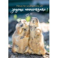 Carte Avec Message Deux marmottes debouts l'une contre l'autre