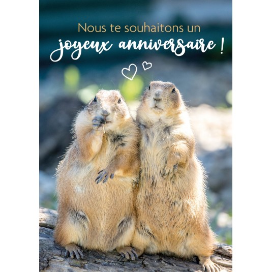 Carte Avec Message Deux marmottes debouts l'une contre l'autre