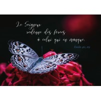 Carte Avec Verset Papillon blanc posé sur un bouquet de fleurs rouges