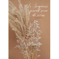 Cartes Postales Texte Biblique Editions Cedis Cartes Postales Texte Biblique Editions Cedis