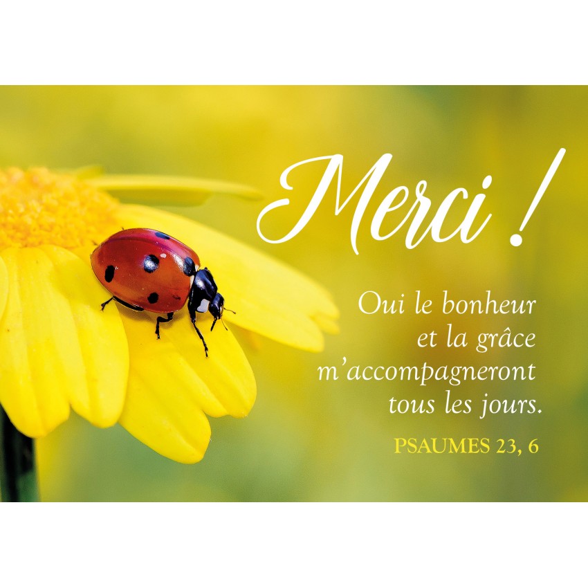 Carte Avec Verset Coccinelle Posee Sur Une Fleur Jaune
