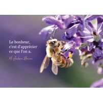 Carte Citation Abeille butinant des fleurs violettes