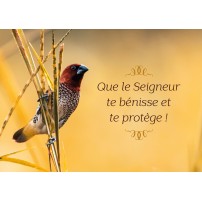 Cartes Postales Texte Biblique Editions Cedis Cartes Postales Texte Biblique Editions Cedis