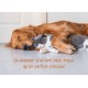 Carte Citation Un chien et un chat qui dorment ensemble